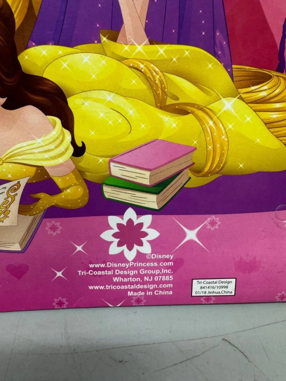 Disney Princess Adventure Begins Here Pink School Folder READ